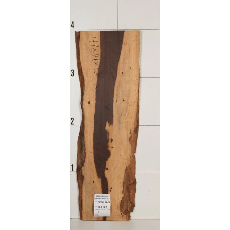 Curly Katalox Wood Slab - Thickness:1-1/4" - Width:14" - Length:47"